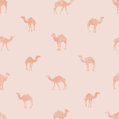 Classy Camel