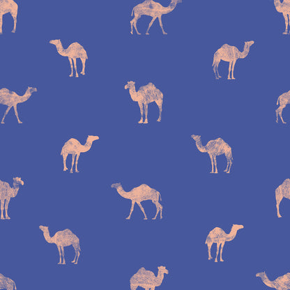 Classy Camel