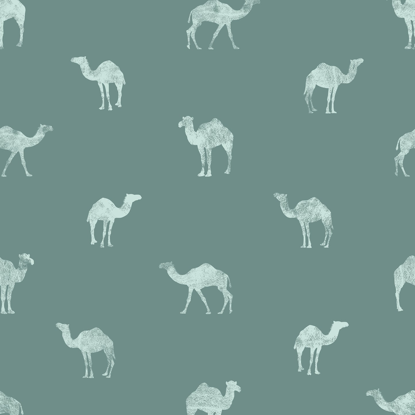Classy Camel