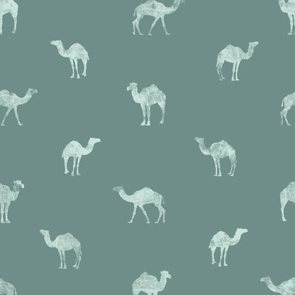 Classy Camel