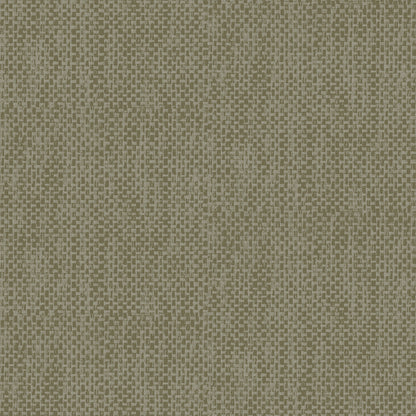 Seagrass